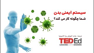 سیستم ایمنی بدن چگونه کار می کند ؟