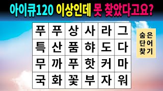 아이큐120 이상인데 못 찾았다고요? - 숨은단어찾기,치매예방,치매테스트,치매예방퀴즈,단어퀴즈,치매예방활동,낱말퀴즈