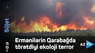 Ermənilərin Qarabağda törətdiyi ekoloji terror