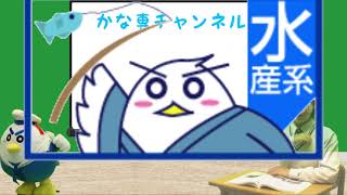 神奈川県の専門高校紹介（水産高校編）令和４年度以降入学生版