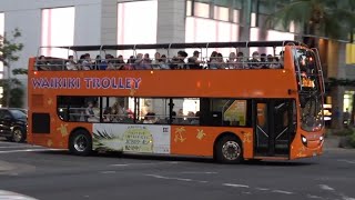 Waikiki riding the Pink line trolley