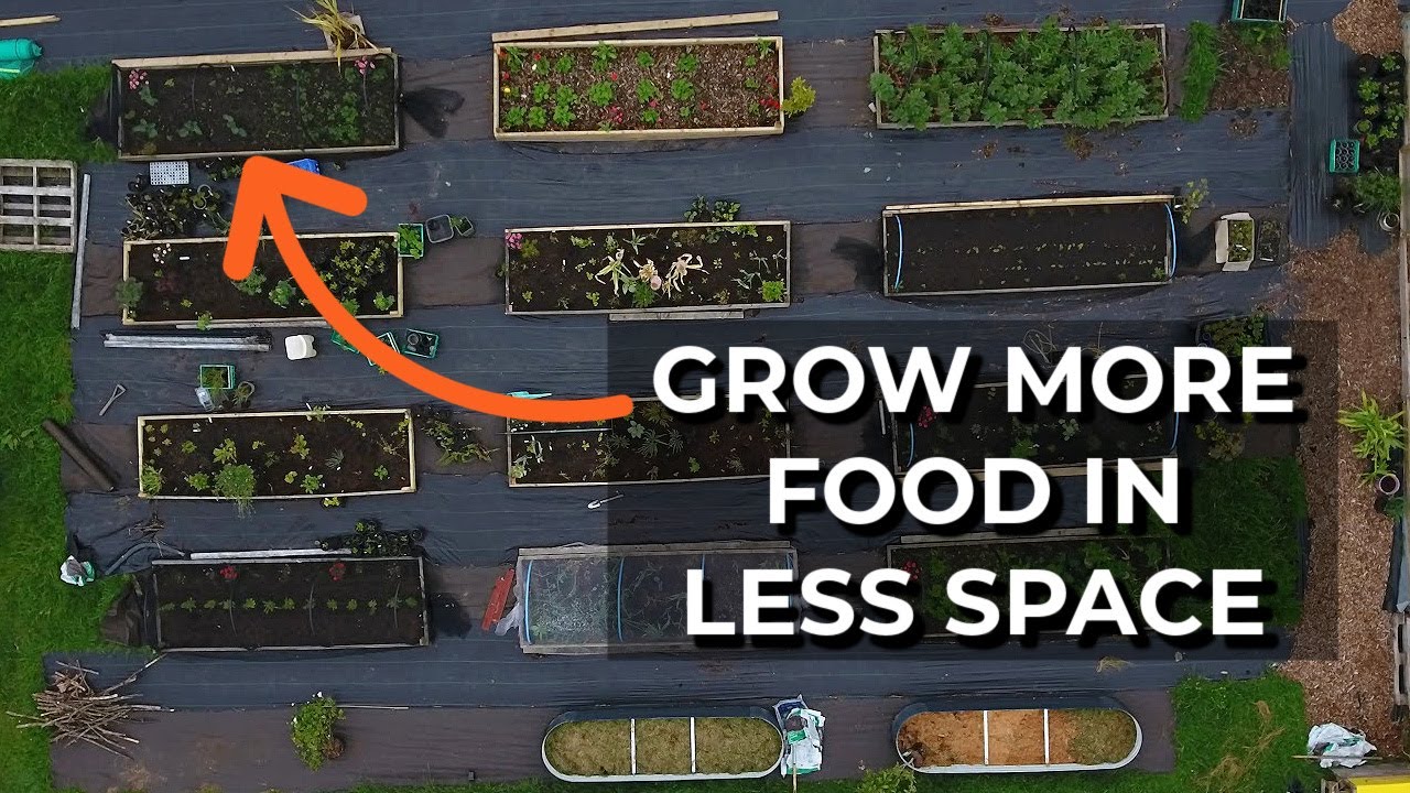 How to grow MORE food in your garden | Key ideas for self-sufficiency