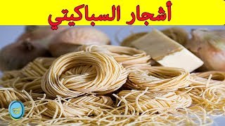 قصص أشهر كذبات أبريل عبر التاريخ | كذبة أبريل