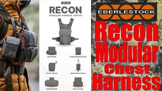 Eberlestock Recon Modular Assault Harness: First Impressions and Why I think It's Cool