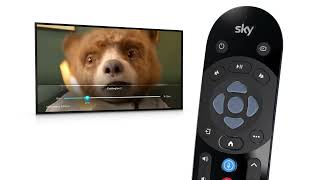 Setting up and using your Sky Q remote - Sky Help