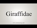 How To Say Giraffidae