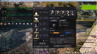 Black Desert【黒い砂漠：ペット合成】イベントペット４世代チャレンジ(*ﾟﾛﾟ)ﾊｯ!!