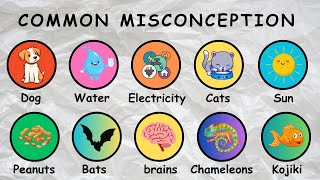 20 Common Misconception Debunked