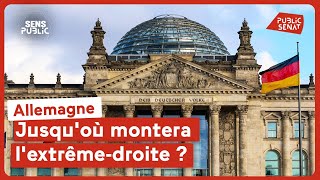 Allemagne : jusqu'où montera l'extrême-droite ?