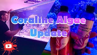 Update Time ! Does Purple Helix and Pink Fusion  Coraline Algae work from Algae Barn? product review