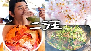 #31 鹿の肝臓、腎臓、膵臓ニラ玉炒め ／ 登山直前の朝食