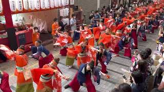 祭屋-Saiya-よさこい踊り子隊　よさこい鳴子踊り特別演舞　はりまや橋会場