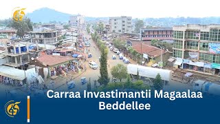 Carraa Invastimantii Magaalaa Beddellee