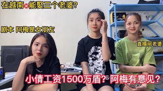 小倩加入宝女郎团队？老板娘阿梅意见怎样？她担心宝强会破产？