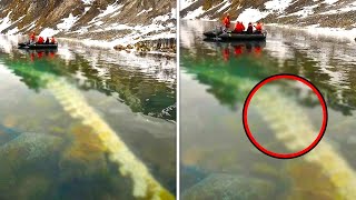 What This Diver Captured in a Lake Shocked the Whole World!