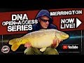 ***CARP FISHING*** DNA Open-Access Series: Merrington Carp Fishery