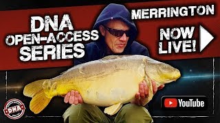 ***CARP FISHING*** DNA Open-Access Series: Merrington Carp Fishery