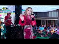 DK LIVE MUSIC - SRIGALA BERBULU DOMBA - EVA AQUILA - WEDDING FIKRI & ICHA KALIPUCANGKULON WELAHAN