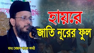 হায়রে জাতি নূরের ফুল। মোস্তাক আহমেদ আল কাদরী। mustak ahmed waz 2025