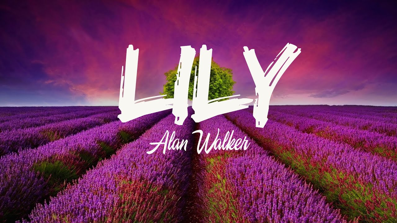 Alan Walker Lily Lyrics Youtube Music
