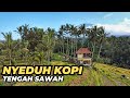 Nyeduh Kopi Cerita Motoran Pagi Nyari Tempat Ngopi Suasana Pedesaan Tengah Sawah Subak Piak Tabanan