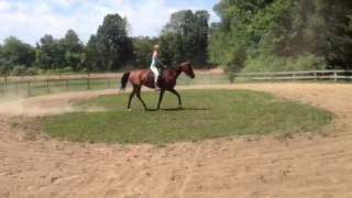 Alexis practicing intro to dressage