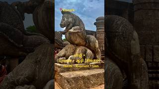 யாழி(ளி) எனும் விலங்கு? பெயர் காரணம்..Elephant body + Lion face and Strength