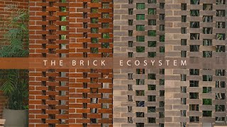 More Than Just Walls: Discover the Living Ecosystem of Exposed Bricks