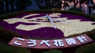 Flower Clock at Downtown Kobe City　（神戸市花時計）, Japan