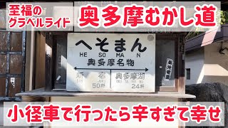 【奥多摩むかし道】グラベルライド！ブロンプトンで行ってみた男の末路