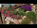 garden design 🌻 in front of the house with dry stone walls