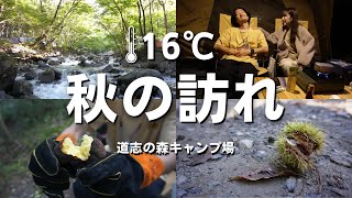 【秋キャンプ】紅葉目前🍁寒さ対策には手作りのアレでOK🏕初心者カップルキャンプ@道志の森キャンプ場