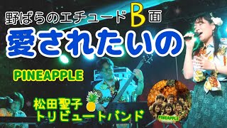 冬に聴きたくなる 松田聖子さんB面の神曲⛄「愛されたいの」野ばらのエチュードのB面✨　松田聖子トリビュートバンド PINEAPPLE