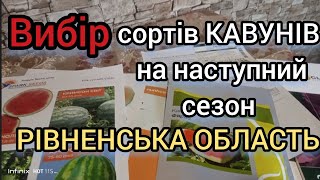 🍉 Вибір гібридів КАВАНА на наступний сезон. Вирощування КАВУНА в Рівненській області.