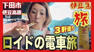 伊豆急で行く！【伊豆旅行3人旅】初の電車旅にはしゃぐおっさん『飯テロ』Travel Japan Izu Shizuoka