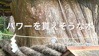 遠州森町小国神社に行って来たよ。紅葉の時期はいいね