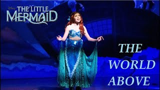 The Little Mermaid | The World Above | Live Musical Performance