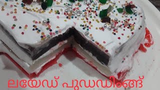 3 ലയേഡ് പുഡഡിംങ്ങ്/three layered pudding  malayalam recipe /tkm sons kids