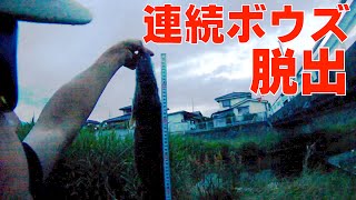 ナマズ\u0026雷魚釣り 連続ボウズ脱出!!20160608【122】虫くん釣りch