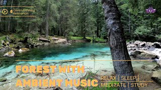 Forest with Soothing Ambient Music | Relax • Meditate • Sleep • Study • Mindful