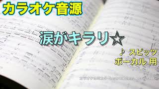 カラオケ音源『涙がキラリ☆』 スピッツ　【ボーカル】