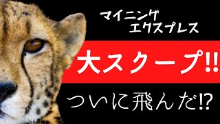 緊急スクープ‼︎マイニングエクスプレスが飛んだ⁉︎活動停止の理由とは？【切り抜き】