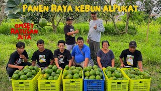 ALPUKAT ADALAH SALAH SATU TANAMAN PRODUKTIF....YANG NILAI MANFAATNYA LEBIH DARI TANAMAN LAIN