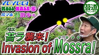 No.82   [yoyogi moss walk] Invasion of Mossra!