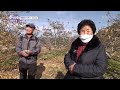 붕붕이가 간다 👩‍🌾청년회장은 일년 내내 농번기 kbs 221212 방송