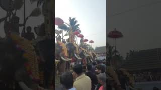 CHIRAKKAL KAALIDASAN | KAVASSERY POORAM 2022 | ഗജനിര | #kerala #pambadirajan #chirakkalkalidasan