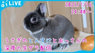 【うさぎ部屋んぽ配信】うさぎのとんすけとおっさんの深夜の生ダラ配信　2025/1/16