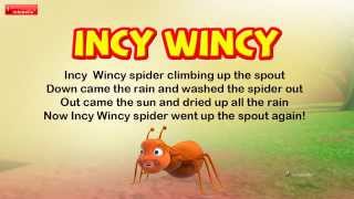 Incy Wincy Spider Nursery Rhyme for Children