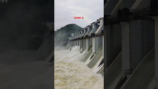 Chandil dam now at danger 🚨 🤯#chandildam #jharkhand #jamshedpur #shorts #viralvideo