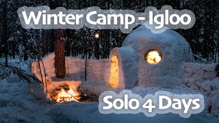 4 Days SOLO WINTER Camp - IGLOO Build - CHAGA Harvesting - Snow Shelter - Snowfall